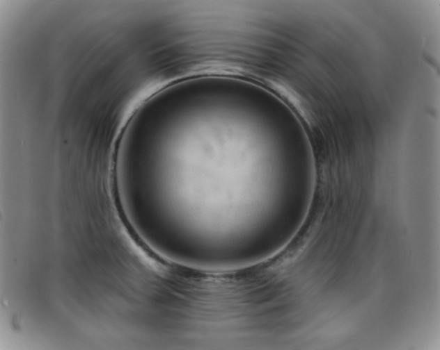 X0000098201379200804241242
