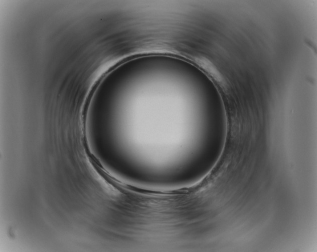 X0000098201380200804241242