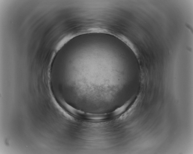 X0000098201381200804241242