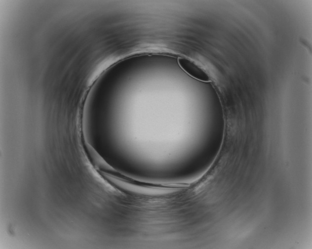 X0000098201382200804241242