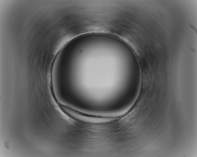 X0000098201383200804241242