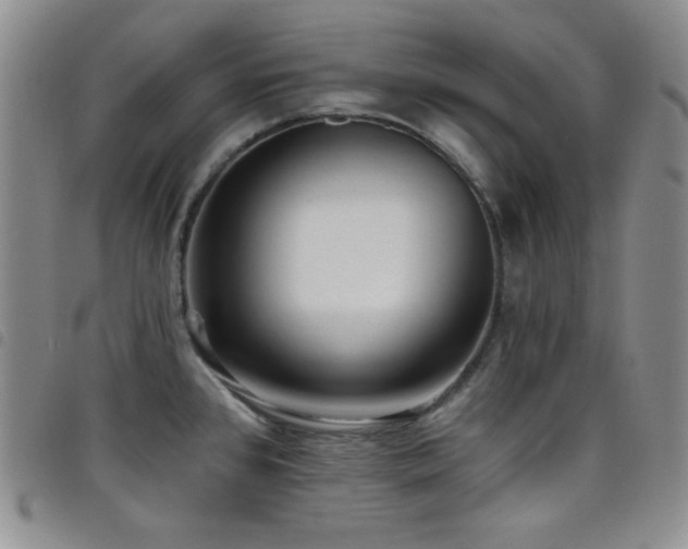 X0000098201384200804241242