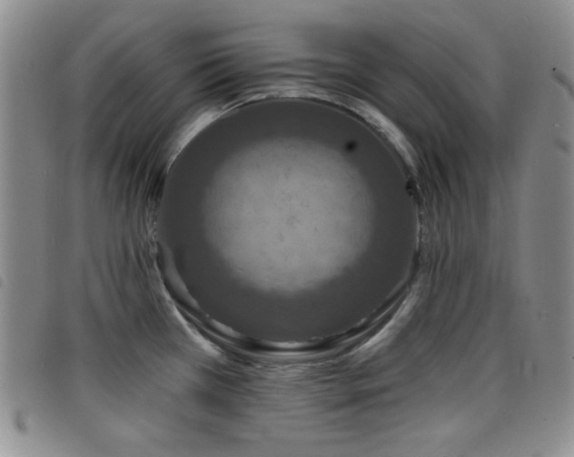 X0000098201385200804241242
