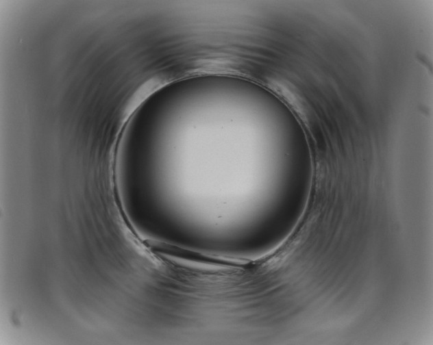 X0000098201386200804241242