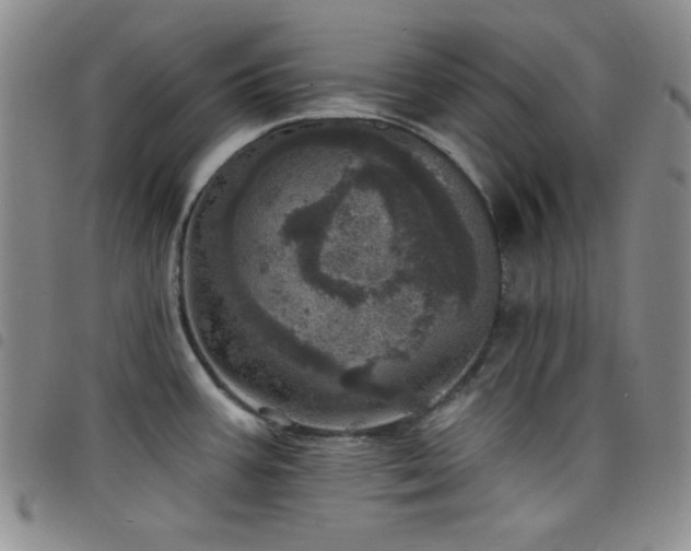X0000098201387200804241242