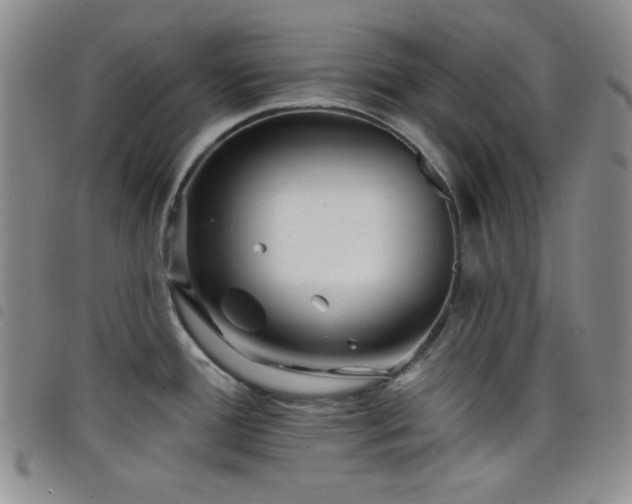 X0000098201388200804241242