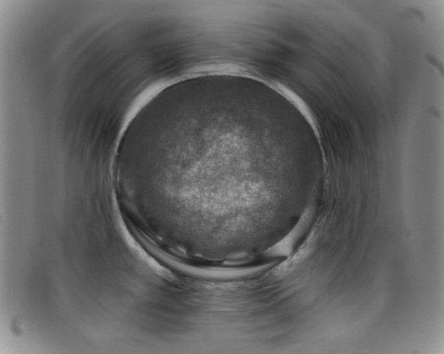 X0000098201389200804241242