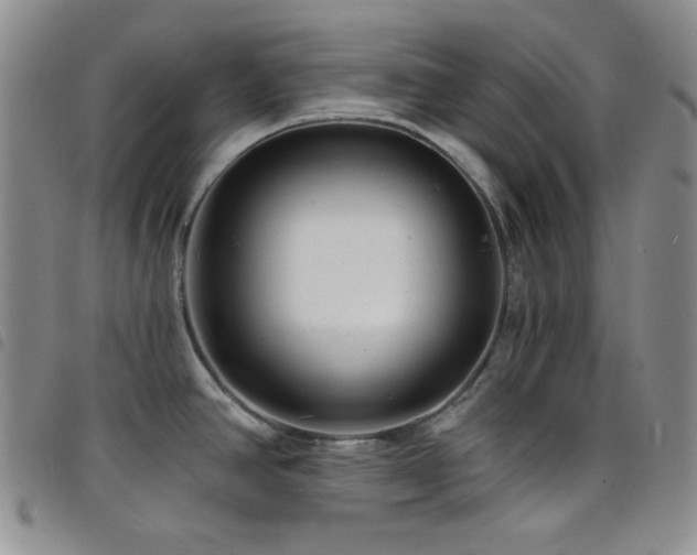 X0000098201390200804241242