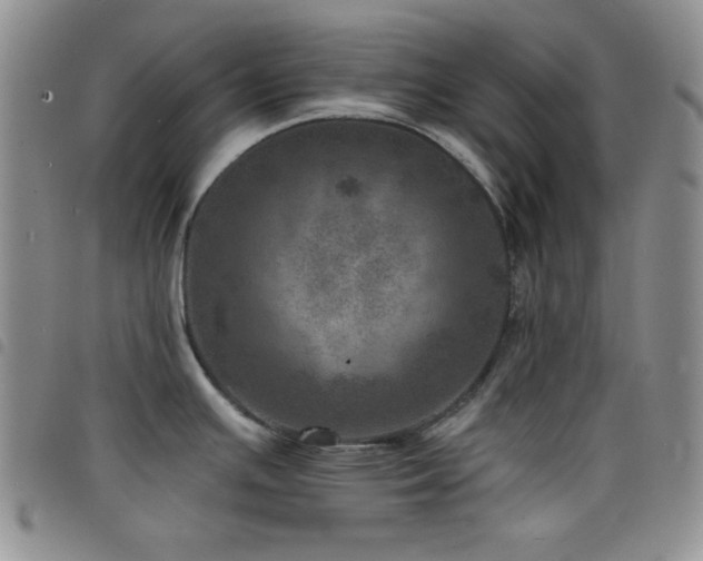 X0000098201391200804241242