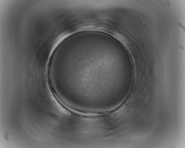 X0000098201392200804241242