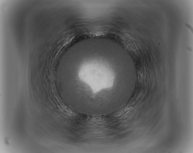 X0000098201393200804241241