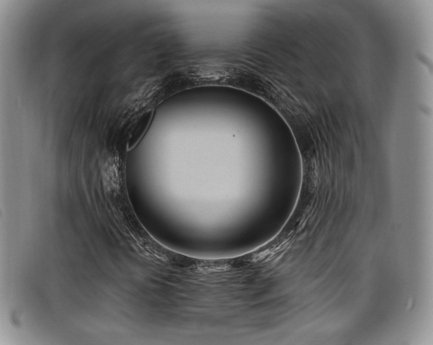 X0000098201394200804241241