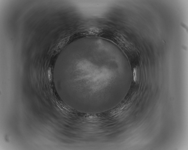 X0000098201395200804241241