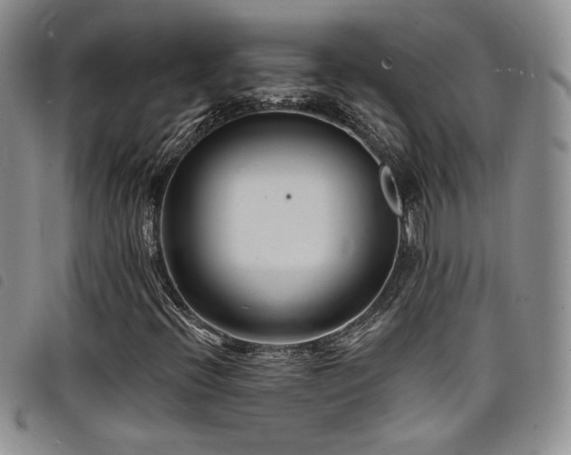 X0000098201396200804241241