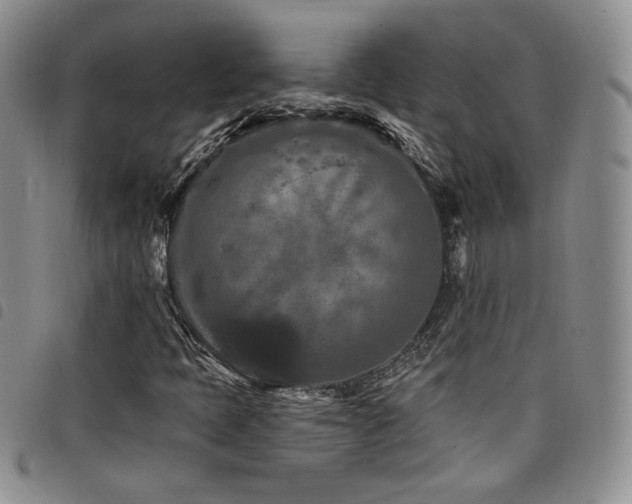 X0000098201397200804241241