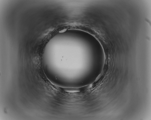 X0000098201398200804241242