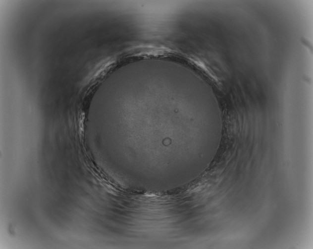 X0000098201399200804241242