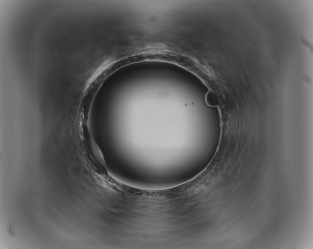 X0000098201400200804241242