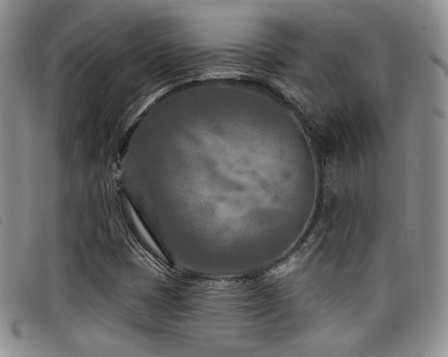 X0000098201401200804241242