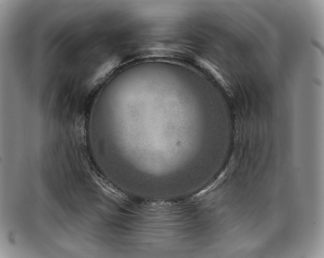 X0000098201403200804241242