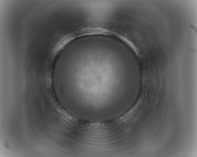 X0000098201407200804241242