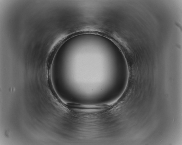 X0000098201408200804241242