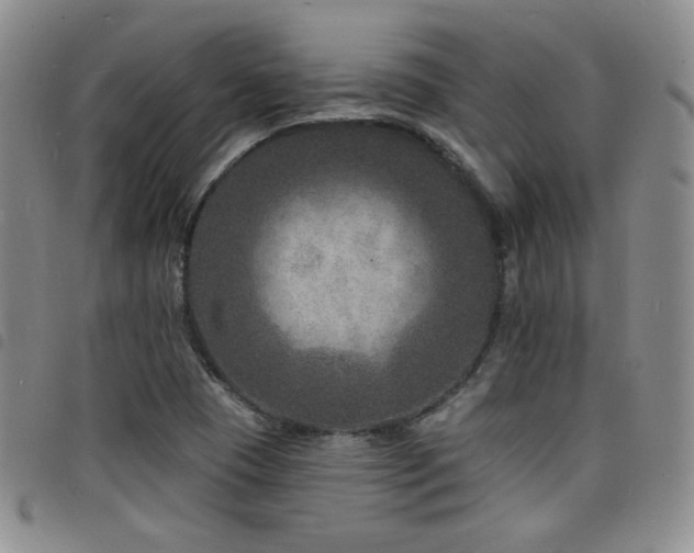 X0000098201409200804241242
