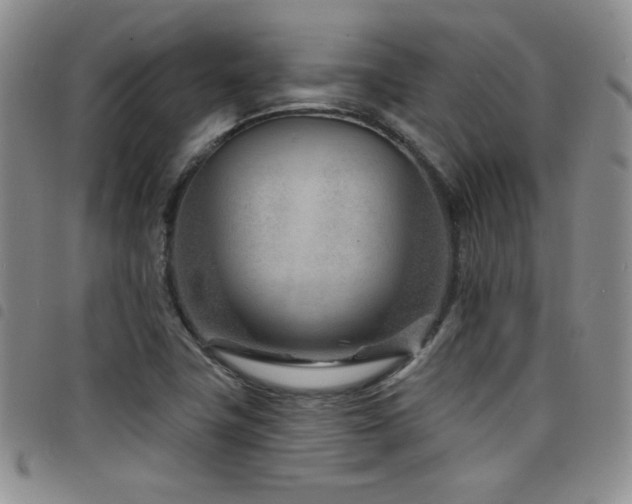 X0000098201411200804241242