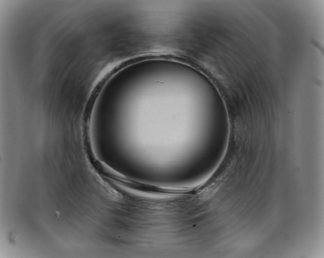 X0000098201412200804241242