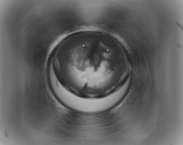 X0000098201414200804241242