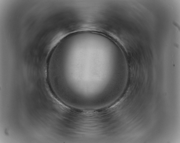 X0000098201415200804241242