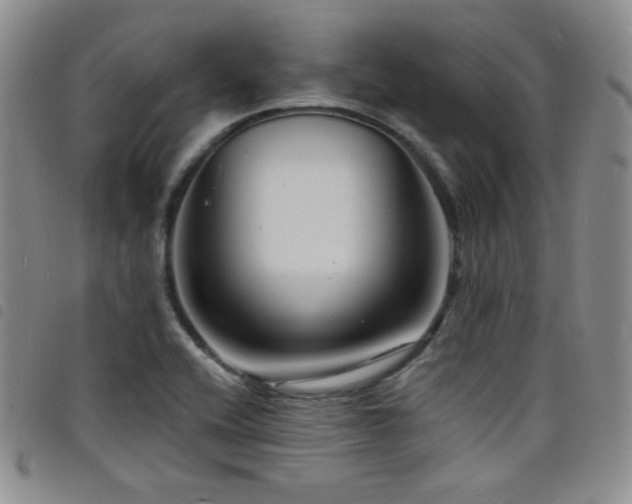 X0000098201416200804241242