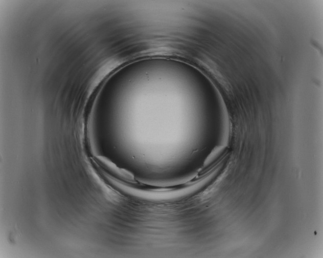 X0000098201418200804241242