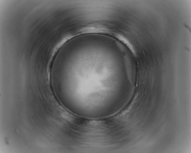 X0000098201419200804241242