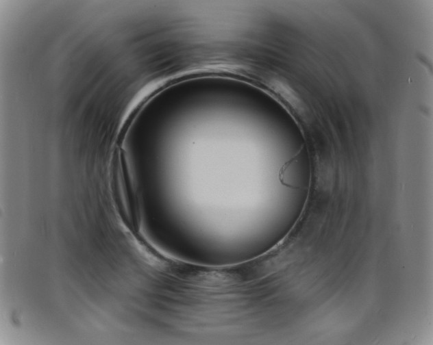 X0000098201420200804241242
