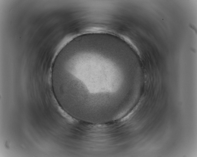 X0000098201421200804241242