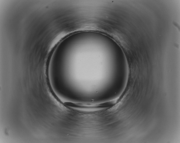 X0000098201422200804241242