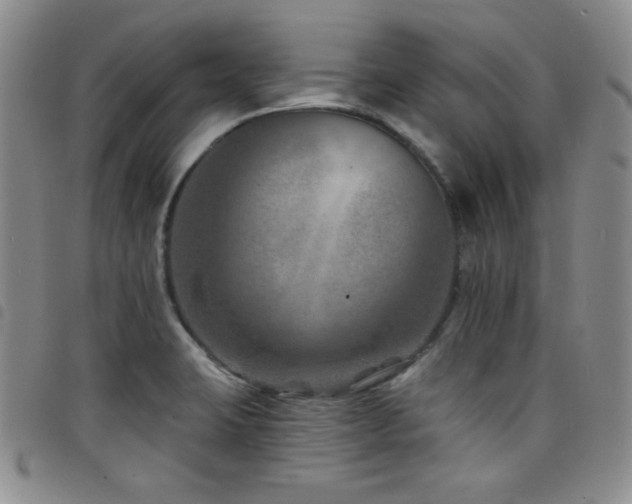 X0000098201423200804241242