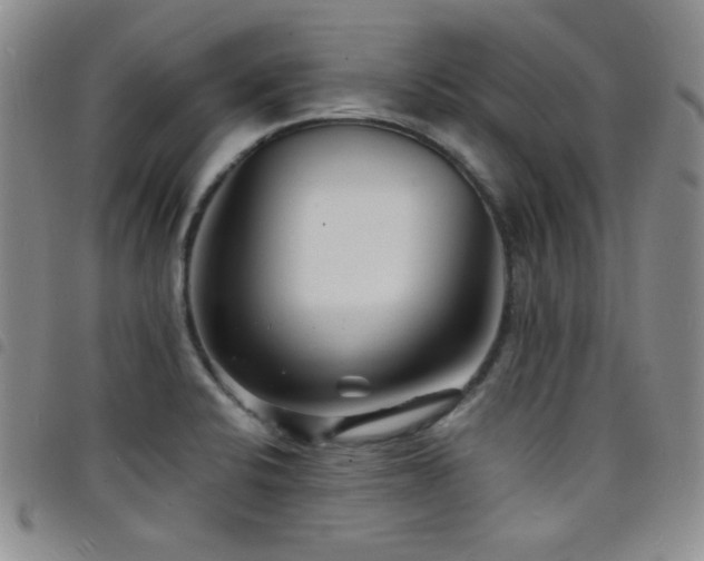 X0000098201424200804241242