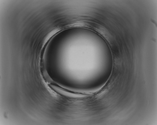 X0000098201426200804241242