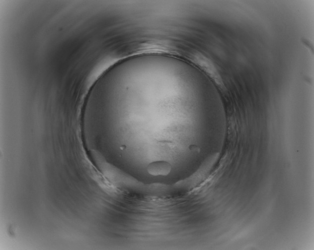 X0000098201427200804241242