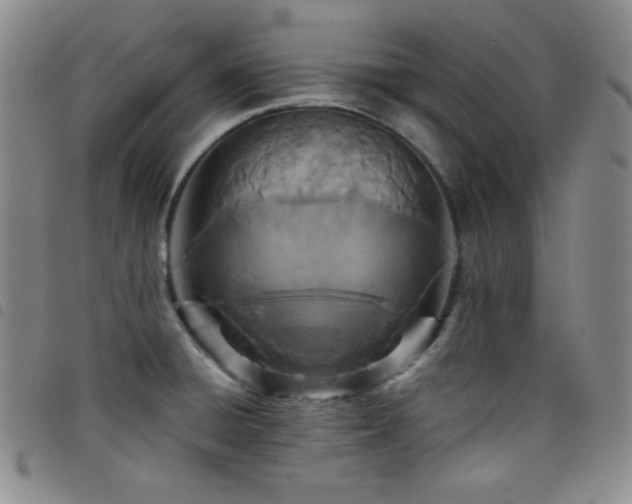 X0000098201428200804241242
