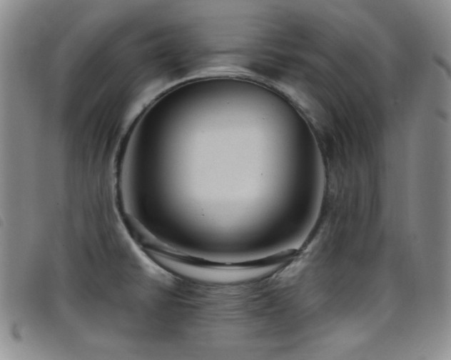 X0000098201430200804241242