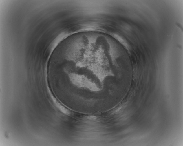 X0000098201431200804241242