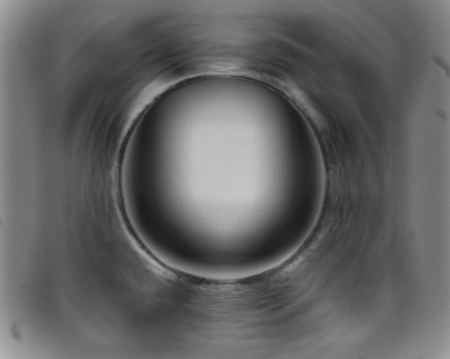 X0000098201432200804241242