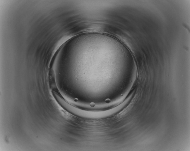 X0000098201434200804241242