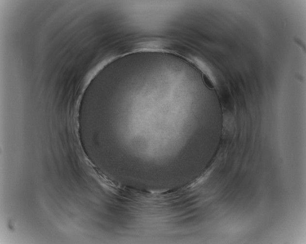 X0000098201435200804241242