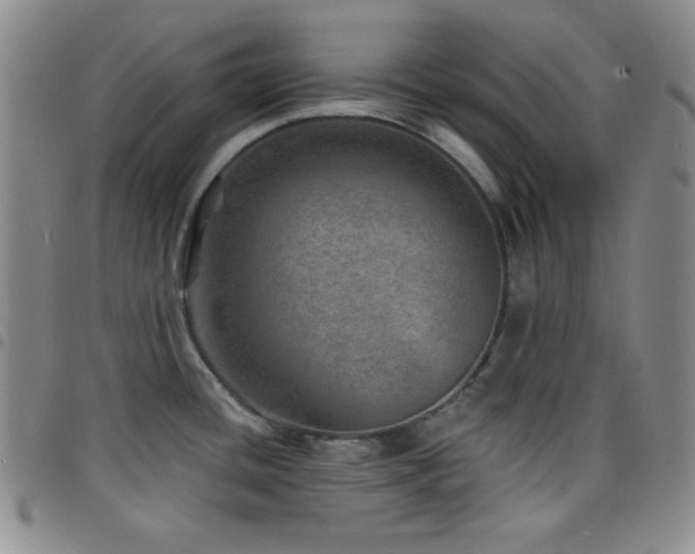 X0000098201436200804241242