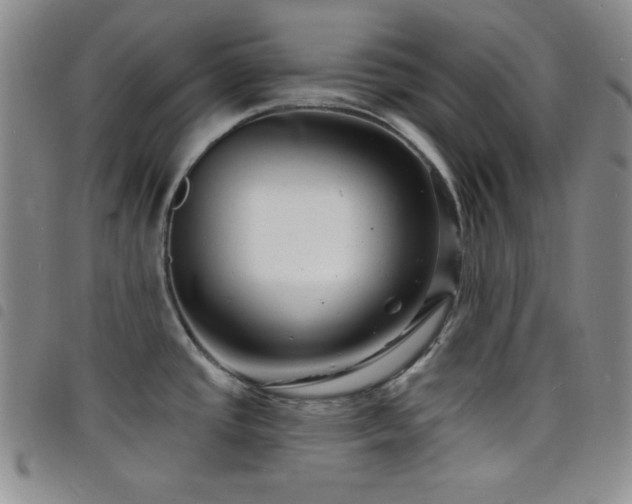 X0000098201437200804241242