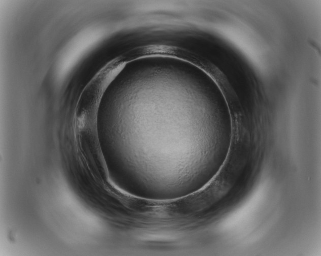 X0000098201438200804241242